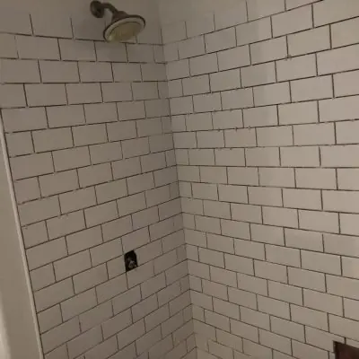 White subway tile shower walls with dark grout, bathroom remodel